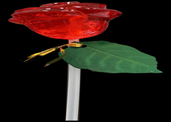 Grown-Up RosÃ© Push-Up Pops