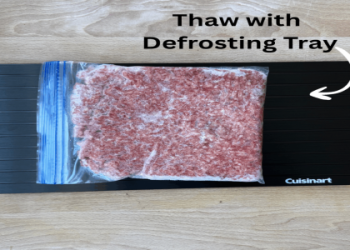 Counter Thawing Risks Safe Alternatives for Defrosting Food