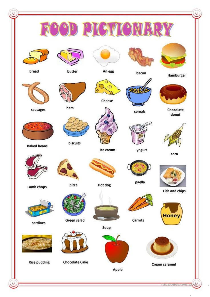different types food