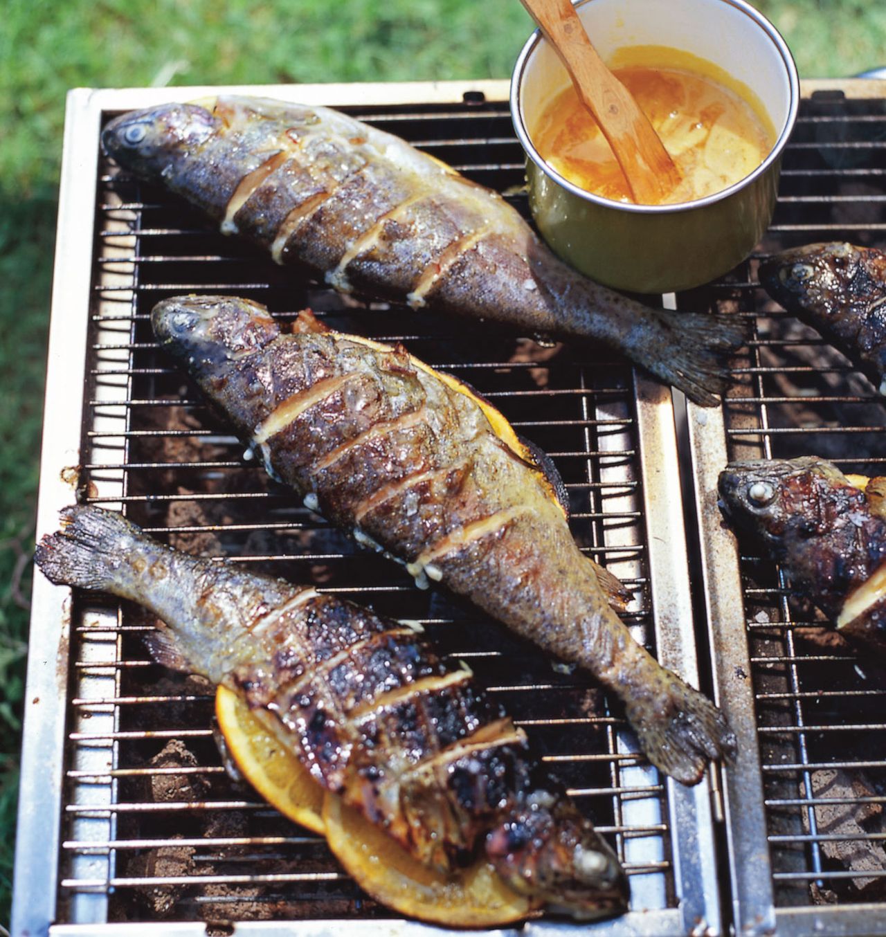 Moroccan-Style Grilled Striped Bass with Orange-Thyme Glaze