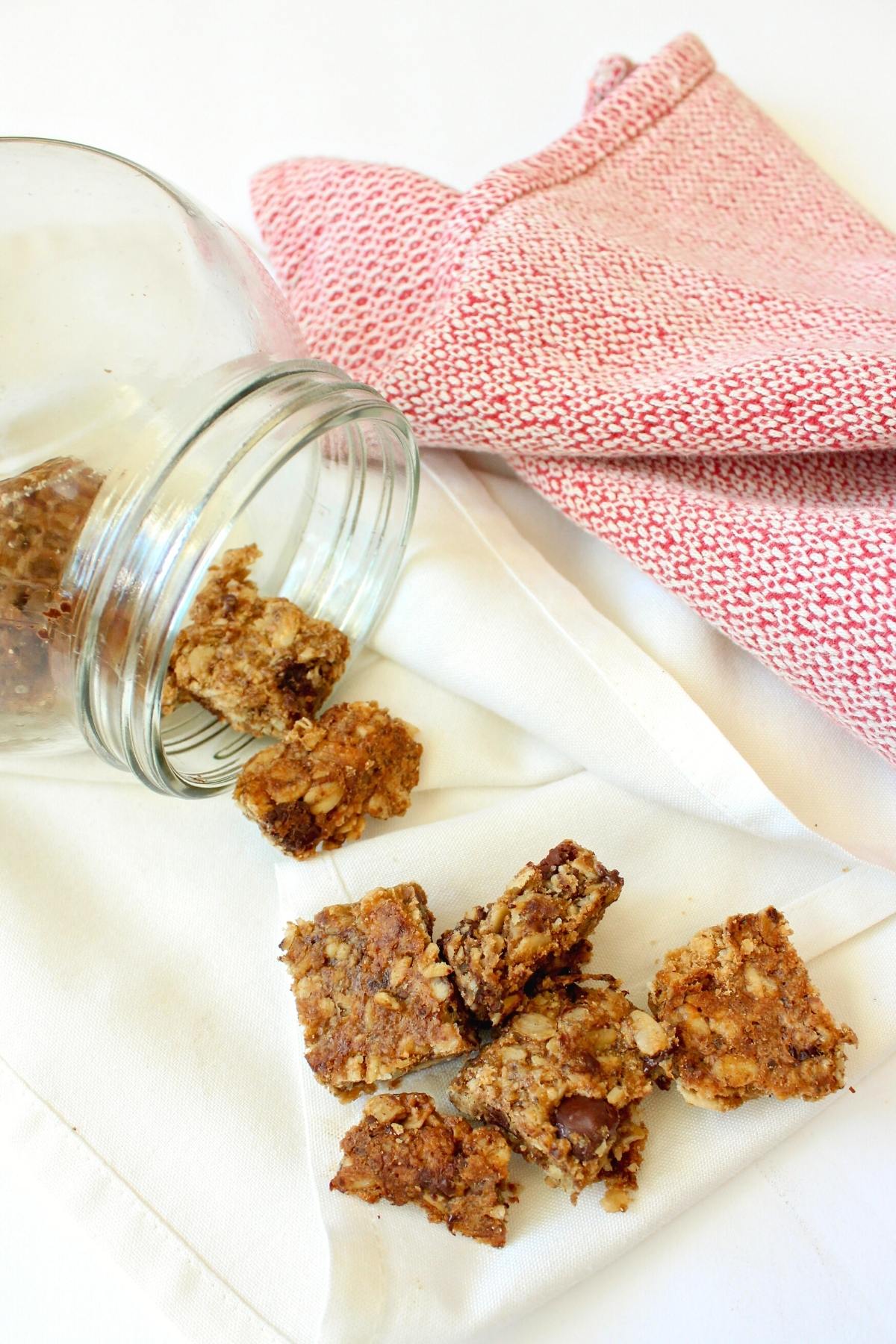 Fresh Vegan Granola Bites Recipe