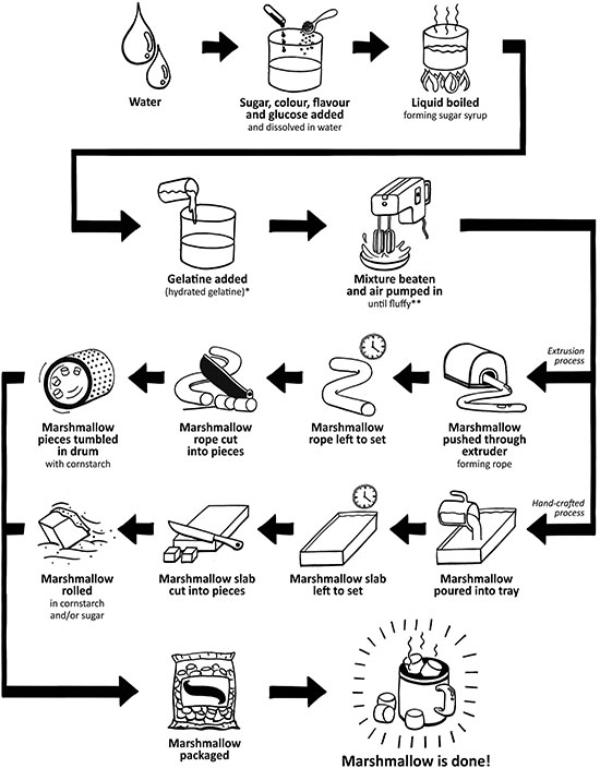 what food is made of