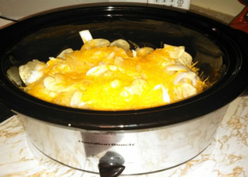 alexa crock pot